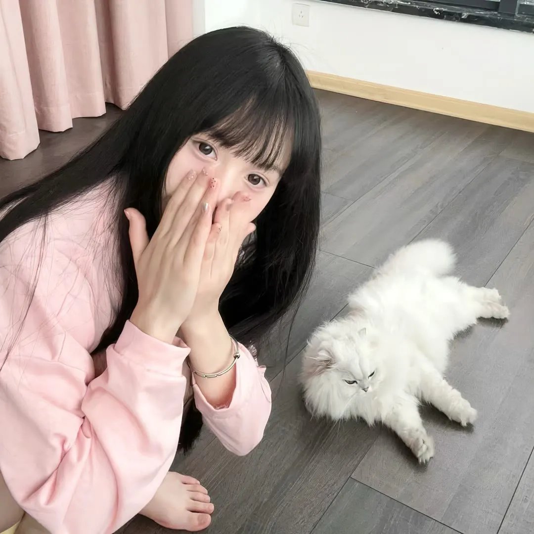小菊的春天