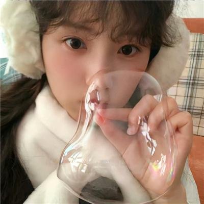 德黑兰禁忌玫瑰